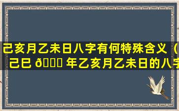 己亥月乙未日八字有何特殊含义（己巳 🍀 年乙亥月乙未日的八字命）